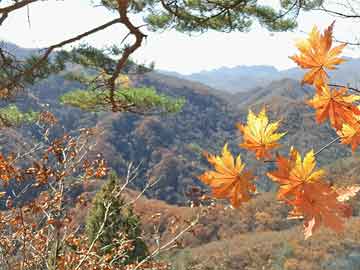 松花江含沙量大吗