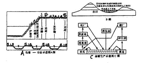 探测器与无纺布土球带的距离