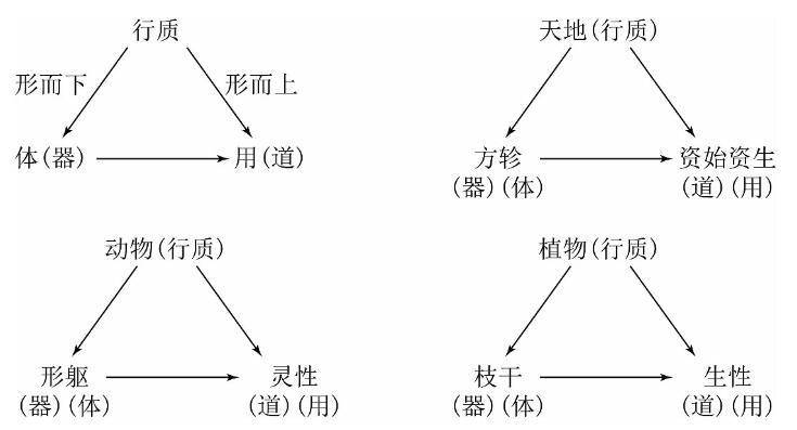 卡摇杆是什么意思