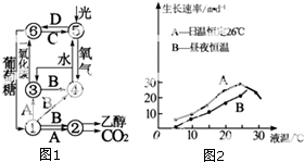 烷烃在能源中的利用