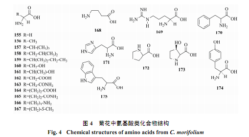 锆石化学成分