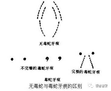 关于水解笔是否有毒的问题解析