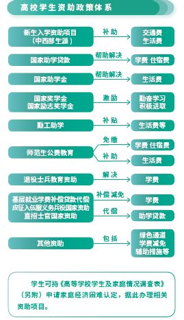 内胆与人工智能专业专科课程选择的重要性及其内容概述,功能性操作方案制定_Executive99.66.67